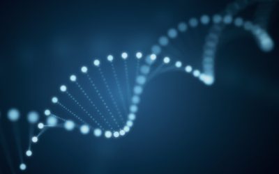 TriBsyn™ – Advancing Beta-Alanine Supplementation