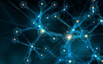 TriBsyn™ for GLP-1 Therapy Support