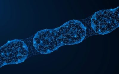 Exploring Creatine Supplementation and the Complementary Role of TriBsyn® Beta-alanine in Supporting the Function of the Creatine Kinase-Phosphocreatine System